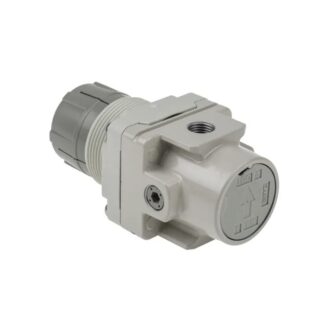 AIR REGULATOR - Watts 0-60 PSI (#R25-02B)